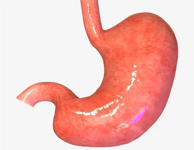 Signals traveling from the gut through the vagus nerve help form memories