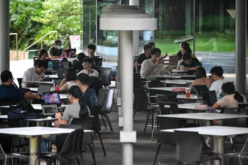 Learn to ‘struggle’ with AI to fight cognitive decline