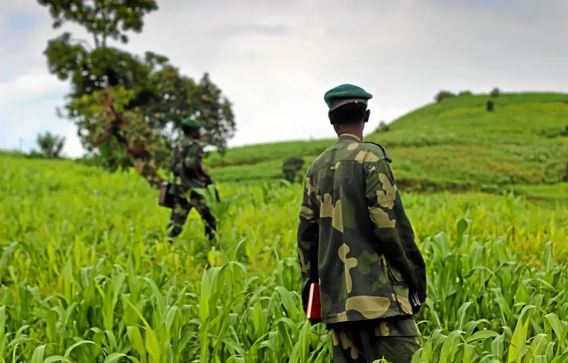 The “GENOCOST” and the DRC’s War “Against Rwanda”