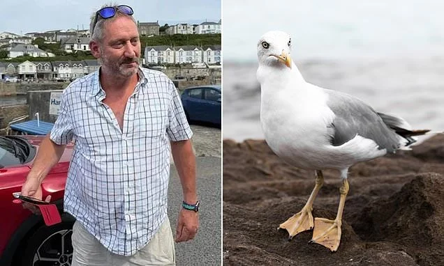 Man who beat up seagull in front of shocked families says the wild birds should be better trained
