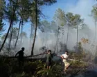 In Bordeaux as the wildfires close in – podcast