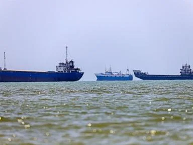 Stalled vessels near Strait of Hormuz could trigger invasive species catastrophe