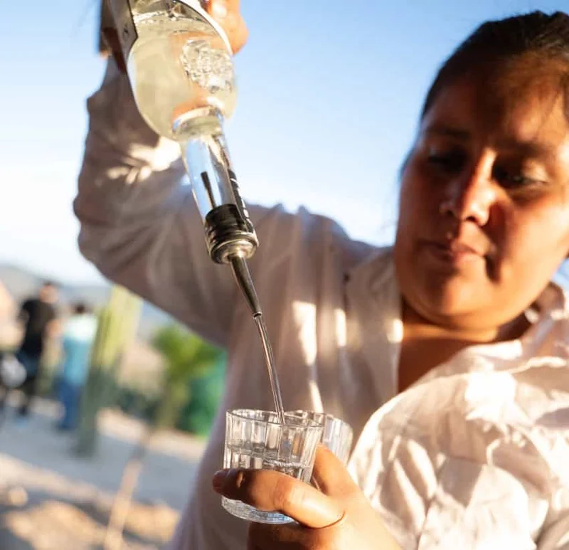 MND Local: Experiencing a taste of Oaxaca at its annual mezcal festivals