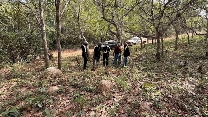 Dalaroo set for 20,000m West African gold drill
