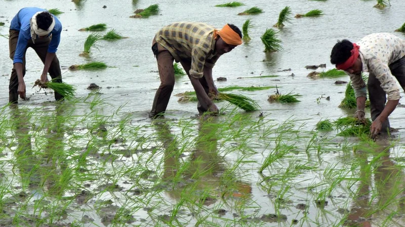 Centre extends PM-Kisan for four more years, allocates  ₹3.15 lakh crore