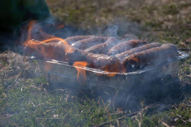 New proposal could see people face 'significant' fines if they light barbecues in national parks