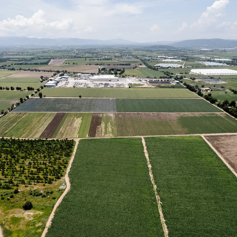 As Cyclospora Cases Climb, FDA Official Says Food Supply Is Safe