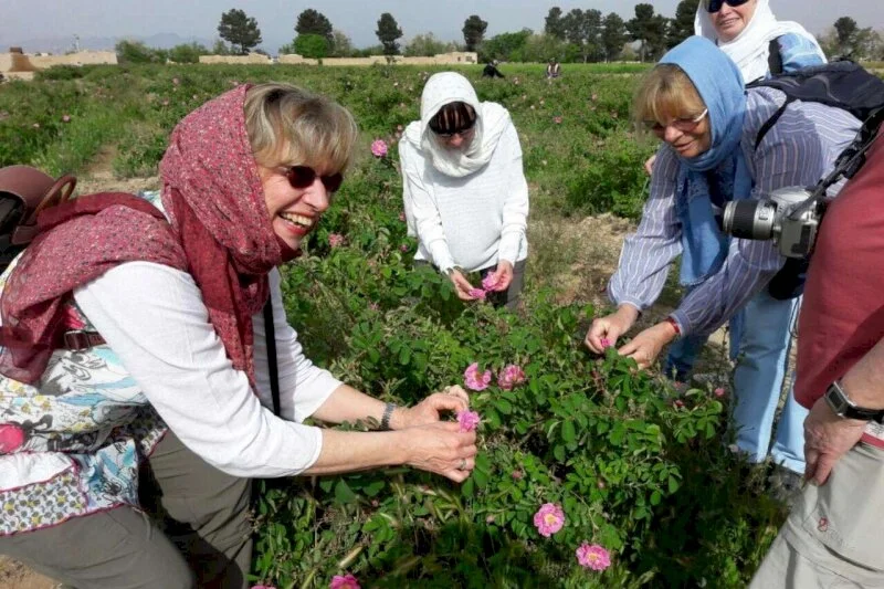 One-day tours can boost local economies if managed properly, researcher says