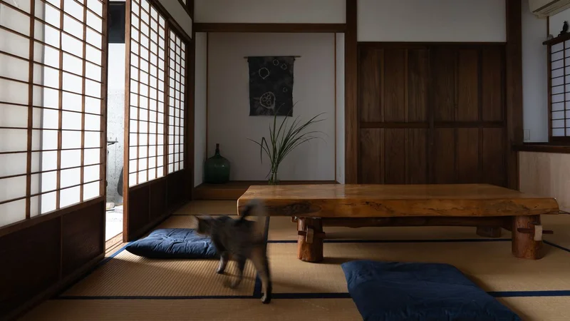 Living in Tanizaki’s Shadows