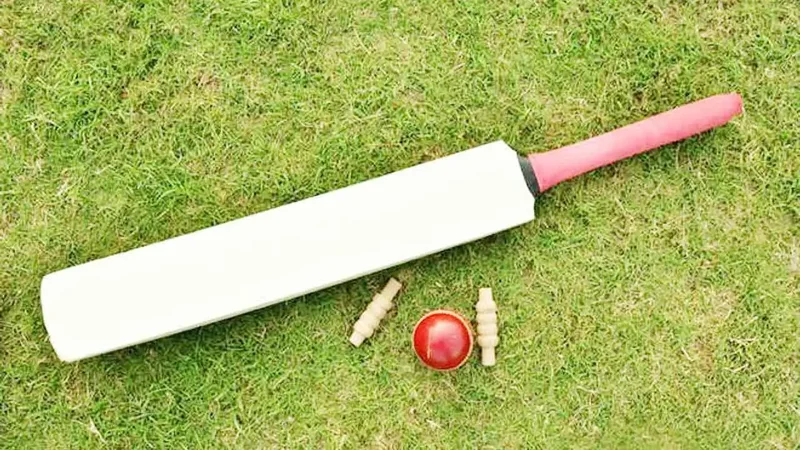 'I am sad, I couldn't be selected': 17-year-old woman cricketer dies by suicide