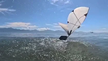 This Robot Can Flap Its Wings to Both Fly and Swim. It Might One Day Help Scientists Study Diving Birds and Survey Ocean Habitats