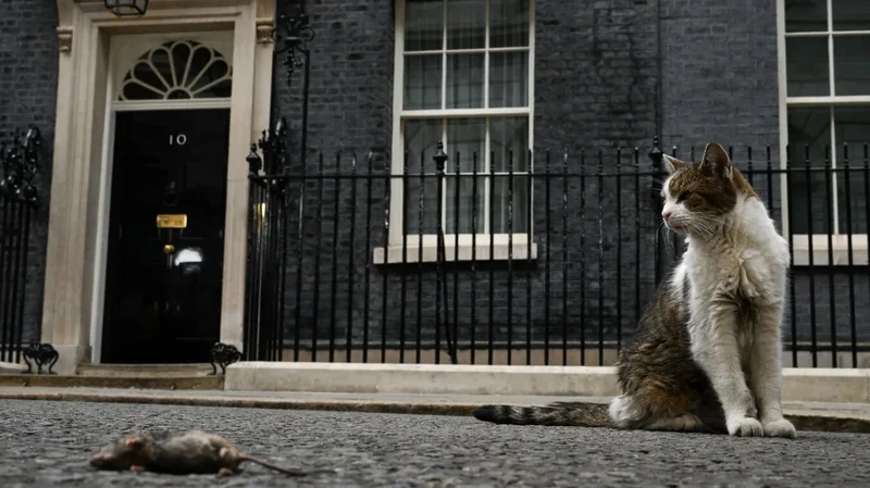 The same failed policies have broken six prime ministers. Can Burnham break the mould?
