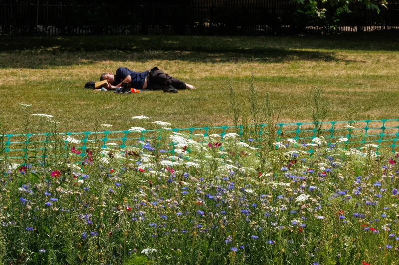 Fve reasons why you feel so tired in the summer – and what to do about it