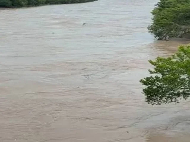Chenab, Ravi floods submerge crops