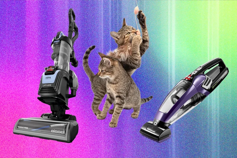 The Best Vacuum for Pet Hair—We Tested Many to Find Which Ones Work Best (2026)