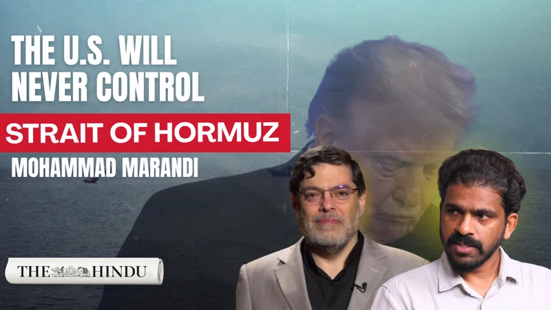Watch: Iran is prepared for U.S. ground invasion: Mohammad Marandi