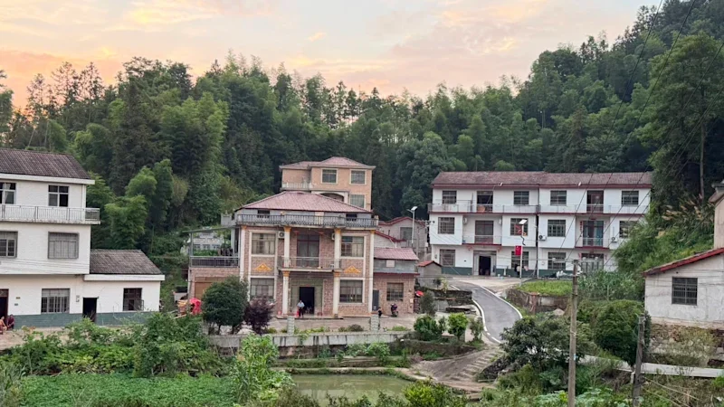 Chickens, Chairman Mao and spiced tea with the neighbours: Welcome to ‘the real China’