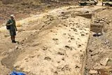 Ancient Footprints Reveal Eight Human Relatives Walked Together Along a Kenyan Lakeshore 1.4 Million Years Ago