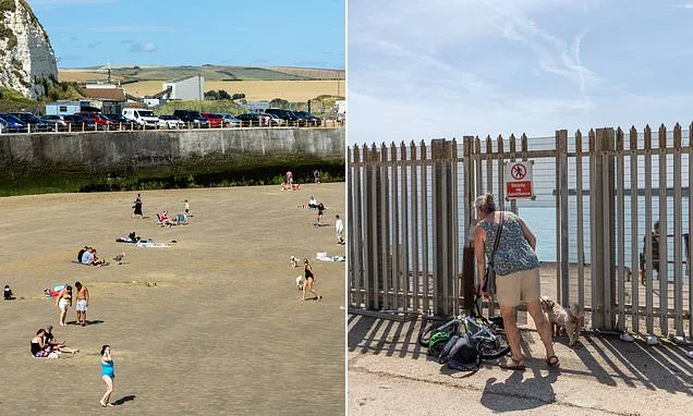 Fight over French-owned Sussex beach becomes gun battle as angry resident shoots £5,000 camera with air rifle