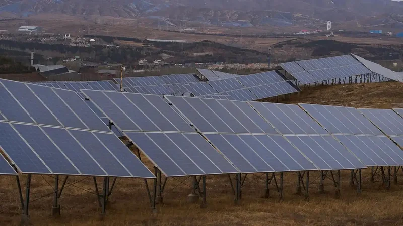 How two solar farms in US restored native wildflowers &amp; proved beneficial for insects