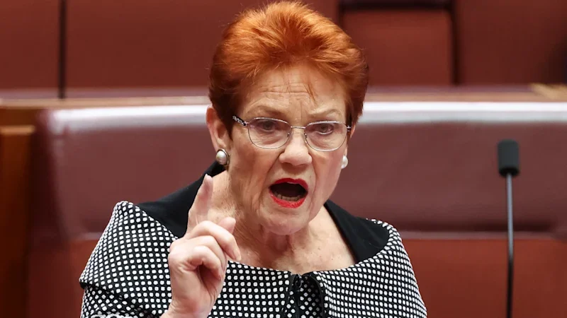 ‘Would last about 30 seconds’: Burke rubbishes Hanson’s counter-terror bid