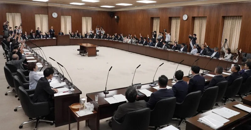Upper House panel approves referendum reform bill