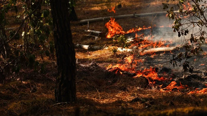 France battles wildfire 4 times the size of Paris
