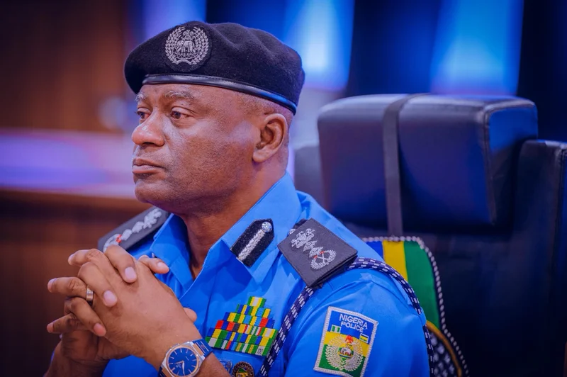 Shoot-at-sight: IGP issues order to police officers against gunmen