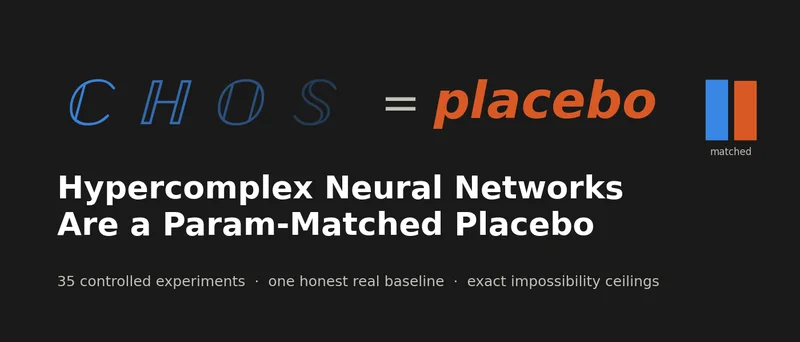 We Ran 35 Controlled Experiments on "Exotic Algebra" Neural Networks. They're a Placebo.