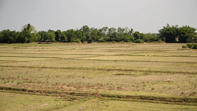 With dry spell looming, Thanjavur Collector launches Water Budget and Management exercise
