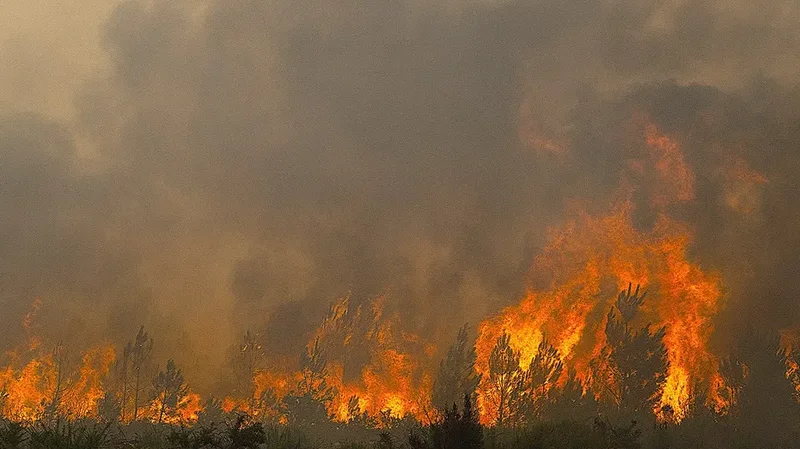 Deadly French wildfires threaten missile plants, nuclear sites as fourth heatwave looms