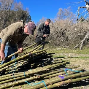Hawke’s Bay farm Tarawera Station expands erosion-control planting