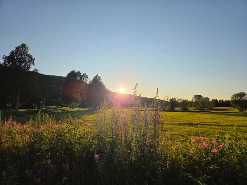 In pictures: The Local readers and staff share their best summer holiday photos