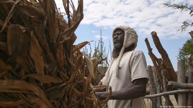 How two wars and El Niño could fuel world hunger