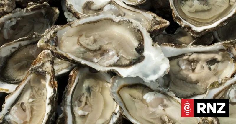 Seafood company fined $39k for illegally moving oysters and mussels