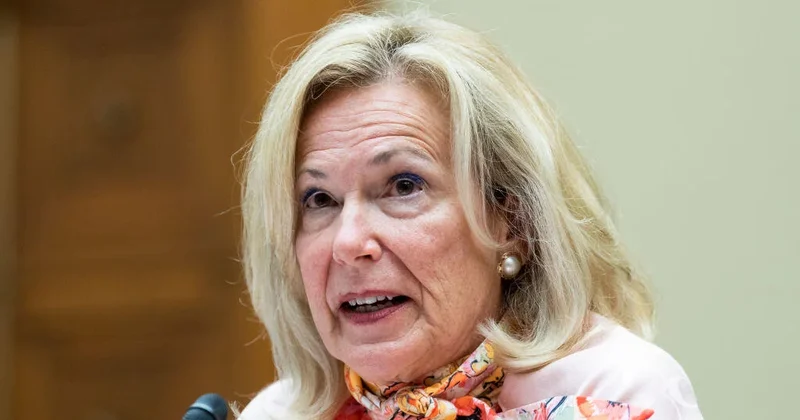 Birx says Fauci hearing shows there's still anger over handling of COVID