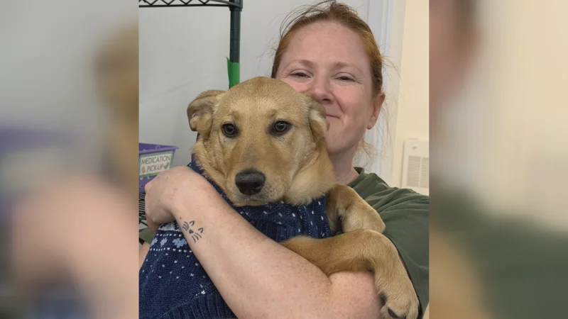 Animal advocacy groups to honour rescue volunteer who died with Winnipeg rally