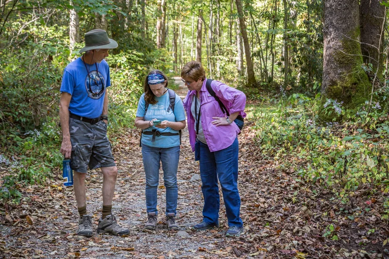 Reminder: Dont use Google Maps for hiking