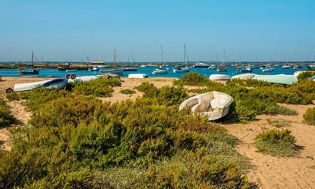 Homes with a sea view cost up to £220,000 more as buyers prepared to splash out on coastal locations