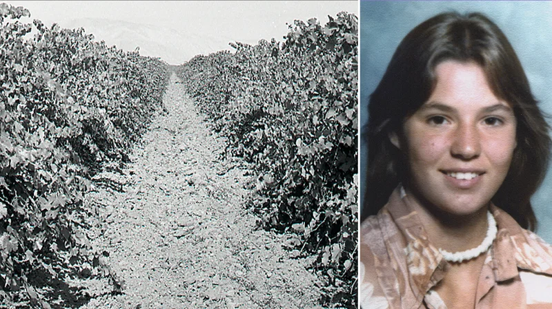 Teen found in shallow California vineyard grave identified nearly 50 years later as family warns killer