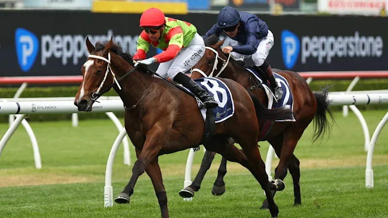 Freedman eyes another welcomed addition to Randwick operation