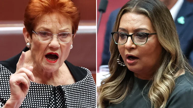 Top court rejects Pauline Hanson’s bid to overturn racial vilification ruling