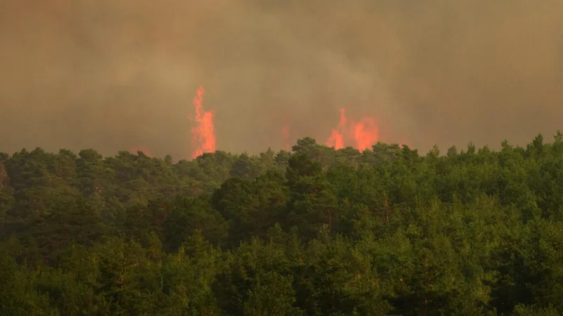 Spain battles spreading wildfires fuelled by climate-change driven heat
