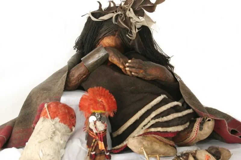 For Decades, Scientists Thought They Knew How This Inca Child Died. They Were Wrong