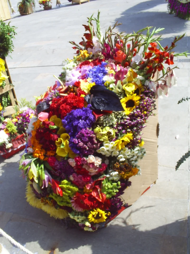 Medellín’s Feria de las Flores 2026: A Guide for Foreigners