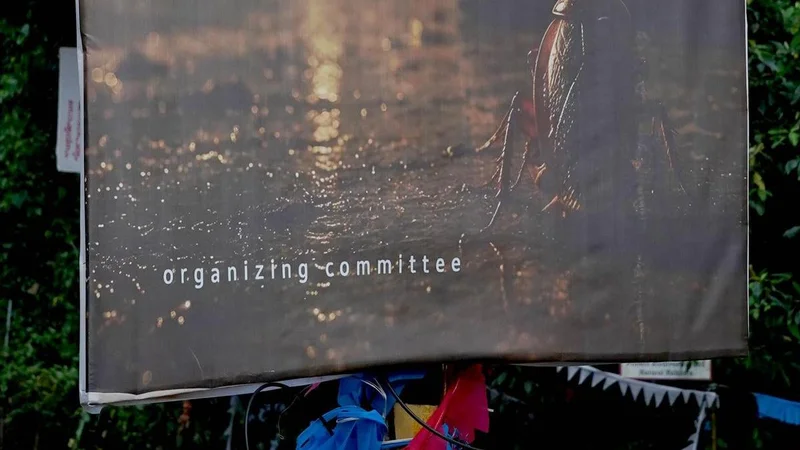 Cockroach poster row: Kerala’s MG University ups the ante, moves to withdraw funds for national conference