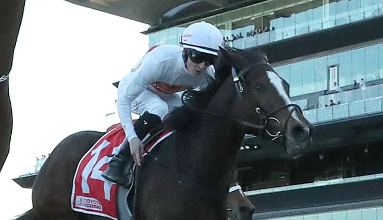 Race-by-race preview and tips for Rosehill on Saturday
