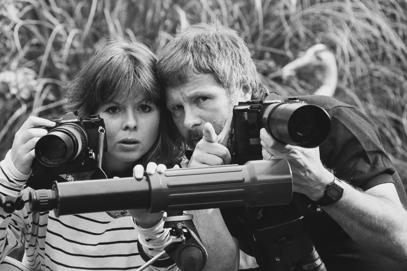 Five tips for learning to birdwatch for people inspired by Bill Oddie