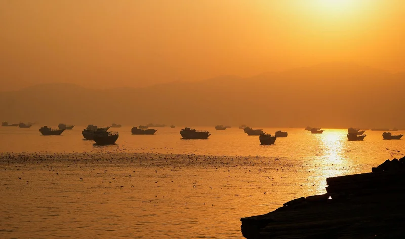 Hormuz shipping rebounds despite ongoing Middle East tensions