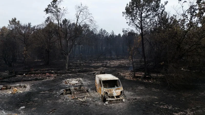 Live: Massive wildfire near Bordeaux 'remains stable' after calm night, local authorities say